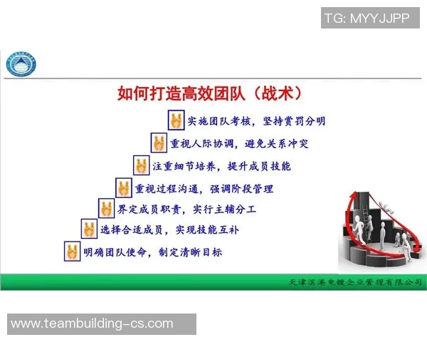 专访刘芳揭秘DOTA2成功背后的策略与团队精神