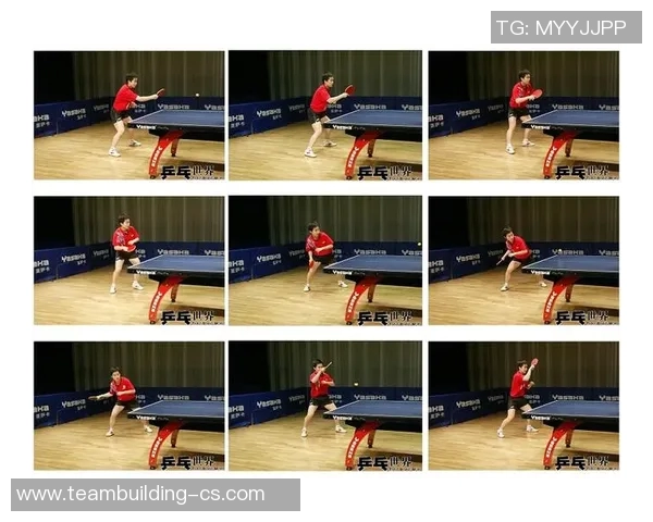 乒乓球新手必看：从基础技术到实战技巧的全面入门指南