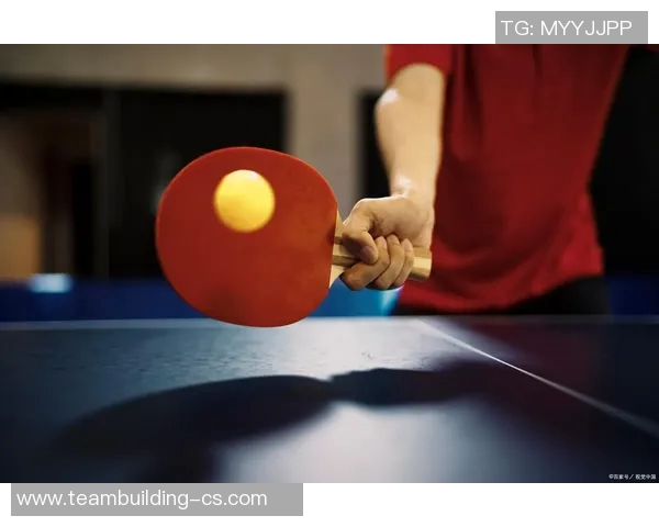 乒乓球新手必看：灵活性训练与技巧全面入门指南