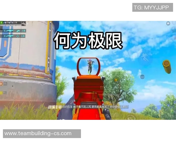 和平精英战术解析：FPX中路突破的策略与执行深度剖析