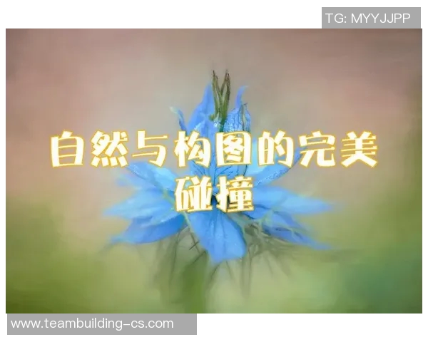 探索哈德森的魅力与历史深度，感受自然与人文的完美交融