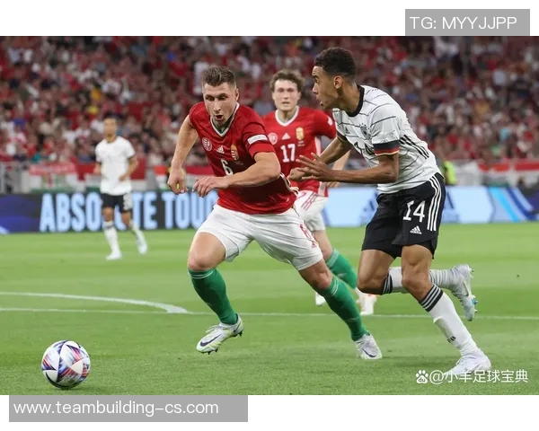 波黑与希腊足球对决前瞻分析及胜负预测探讨