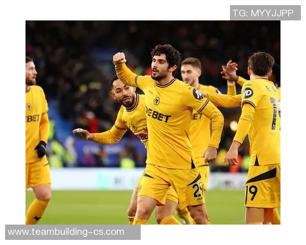 狼队与赫尔城对决前瞻分析及比赛结果预测全解析