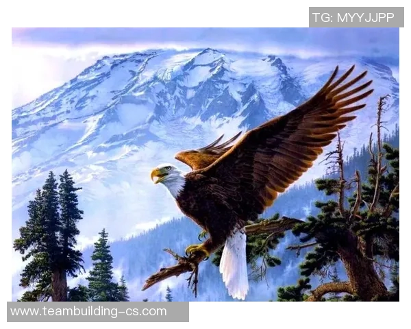 前进之鹰与乌之间的较量展现出勇气与智慧的碰撞与融合