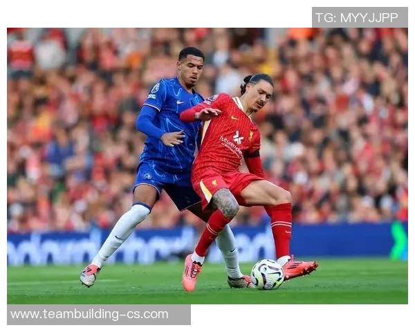 努涅斯在足球赛场上的崛起与挑战探讨