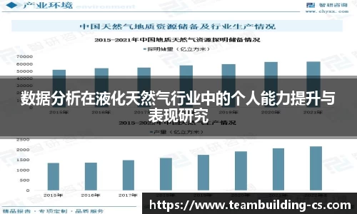 数据分析在液化天然气行业中的个人能力提升与表现研究